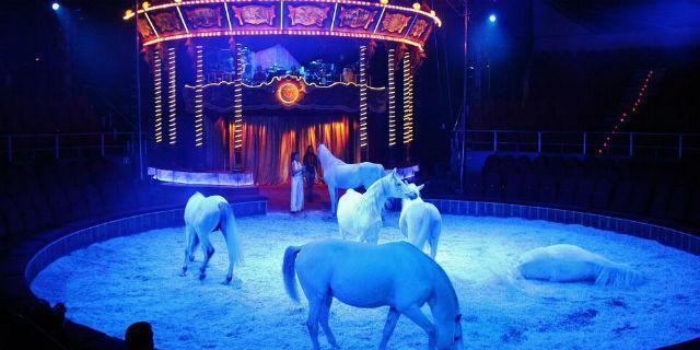 La Navidad invade el fin de semana los teatros de Madrid