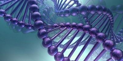 Un estudio científico muestra los primeros pasos para predecir la longevidad de los seres vivos