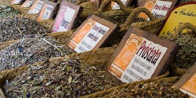 120726 reportaje plantasmedicinales3