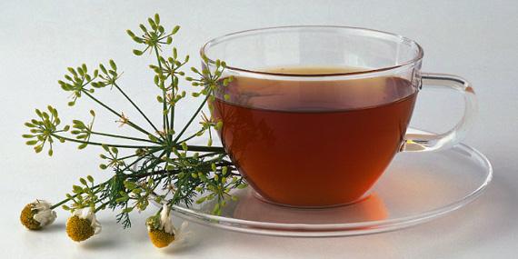 Remedios caseros con plantas medicinales