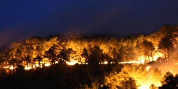 Aguirre solicita agravamiento de pena para los pirómanos tras el incendio de la Sierra