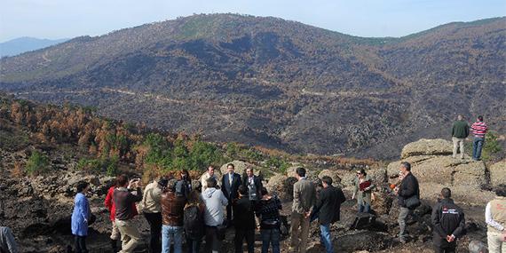 El Plan de Reforestación del incendio de la Sierra Oeste estará listo en un mes