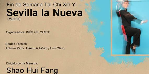 130515 tai chi sevilla la nueva