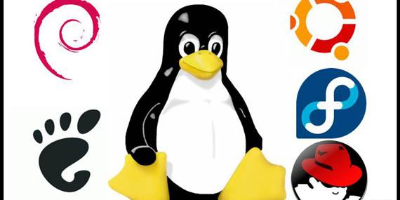 Software libre, una alternativa para evitar ilegalidades