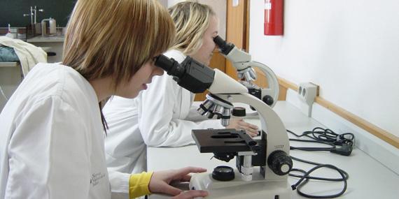 Las becas de FP Superior se podrán solicitar desde el 2 de septiembre