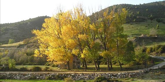 130314 parque guadarrama consejo
