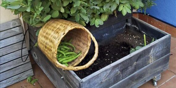 130331 agricultura ecologica madrid