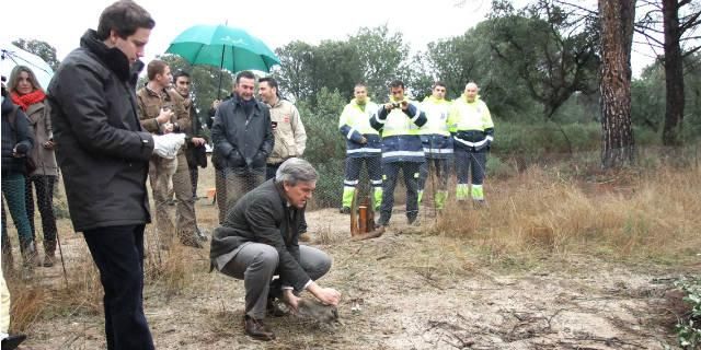 Veinte conejos más en el monte El Monreal