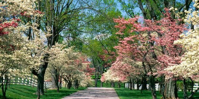 Comienza la primavera