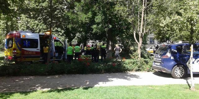 Muere en el Parque del Retiro al caerle encima la rama de un árbol