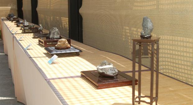 X Certamen Nacional de Suiseki celebrado en el Museo del Bonsái en Parla