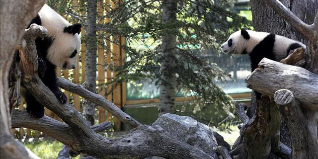El Zoo Aquarium de Madrid amplía su horario de apertura
