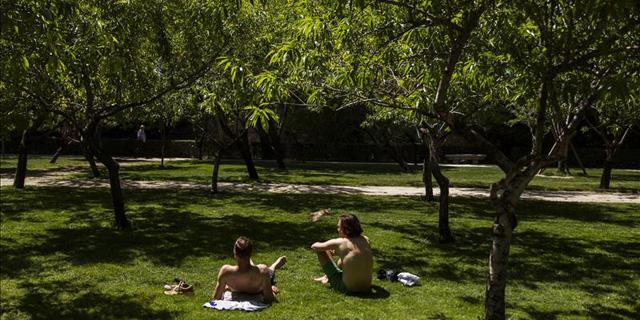 Los madrileños siguen bajo la sombra de los árboles