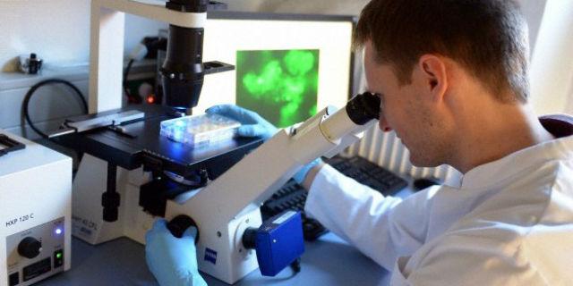 Las células cancerígenas podrán destruirse con nanorobots