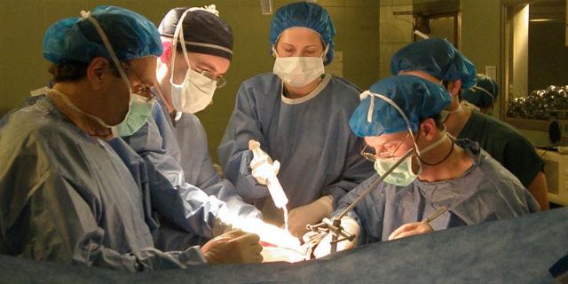 España sigue siendo líder mundial en trasplantes y donaciones