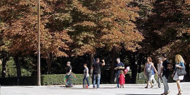 El estudio sobre los árboles del Retiro, referente nacional