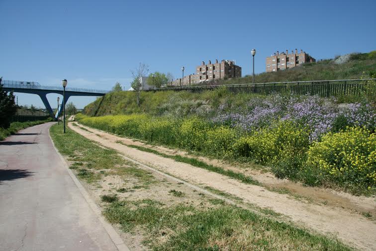 El vallado de parques y jardines del Centro y el Barrio del Puerto de Coslada entran en la última fase