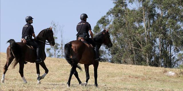 Canal, al rescate de los caballos de la Policía