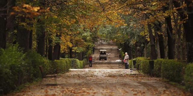 Revisión total del uso y arbolado del Retiro