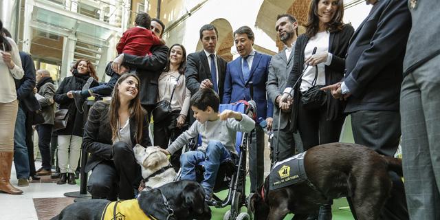 Vía libre en Madrid a los perros asistentes