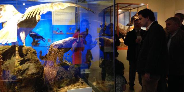 La exposición del Parque de Guadarrama recibe 35.000 visitas en dos meses