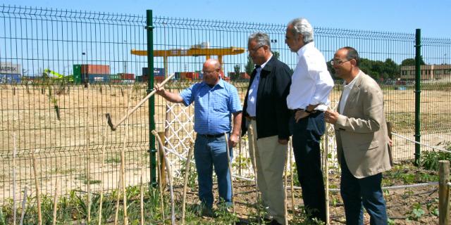Coslada se plantea aumentar la iniciativa de los huertos urbanos 