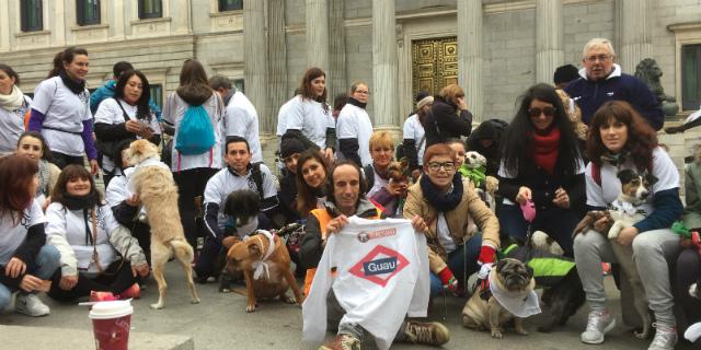 Un millar de personas y sus perros recorren Madrid en la Sanperrestre
