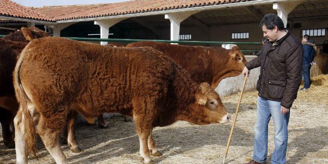 Los madrileños consumen el 16% del total nacional de carne con certificado de origen