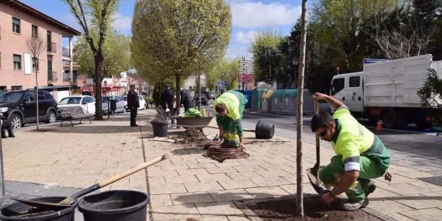 Villaviciosa planta nuevos árboles y arbustos en diversas calles