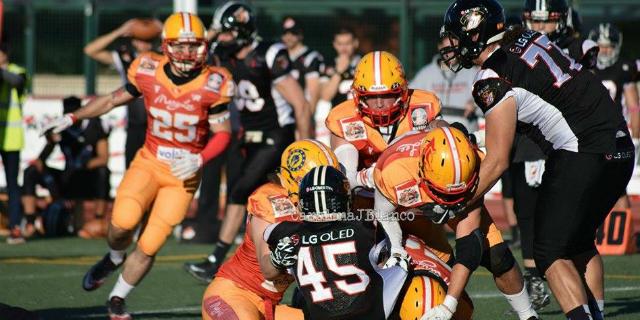 Playoffs LMFA Junior: Demons - Osos