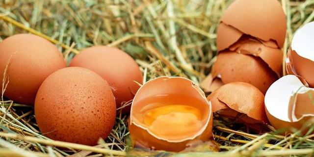 Beneficios de los huevos ecológicos