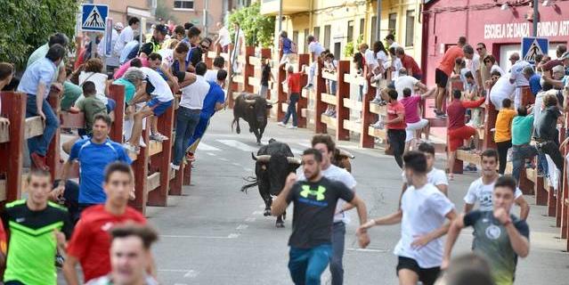 Los encierros centraron la programación del lunes de las fiestas de Pozuelo