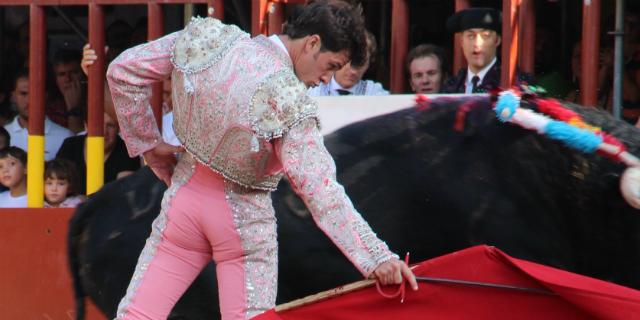 Segunda novillada de la Feria de Arganda del Rey 2018