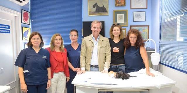 Boadilla pone en marcha un programa piloto de esterilización de gatos