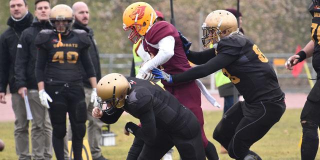 Osos lidera, Smilodons se reivindica, Jabatos y Capitals ganan