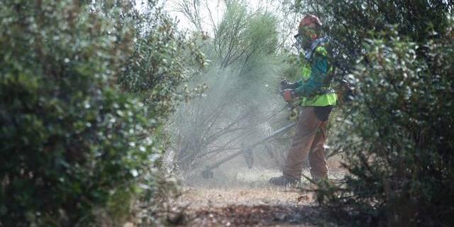 Las Rozas comienza la operación de desbroce para prevenir incendios