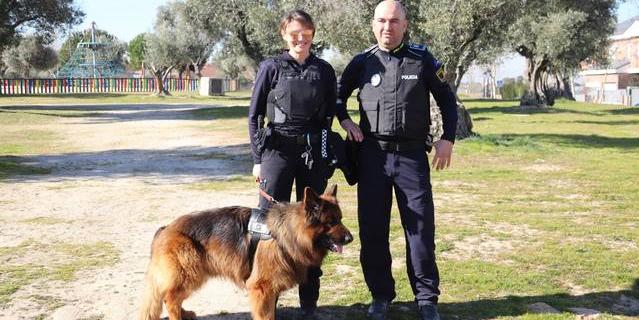 Sevilla la Nueva refuerza la seguridad para las Fiestas Patronales con perros policía