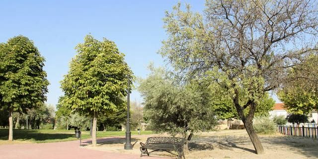 Arganda del Rey plantará 10.000 árboles para reducir las emisiones de CO2