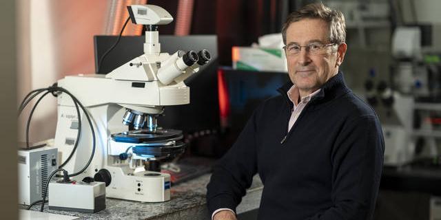 La Fundación BBVA premia a Michael Hall y David Sabatini por investigaciones médicas