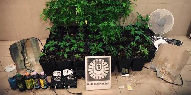 Detenido en Fuencarral tras descubrirse que tenía una plantación de marihuana en su trastero