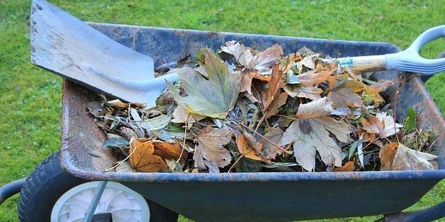 Galapagar reanuda la recogida de residuos vegetales a particulares