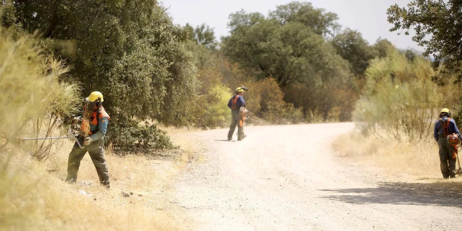 Las Rozas pone en marcha la campaña de desbroces para minimizar el riesgo de incendio