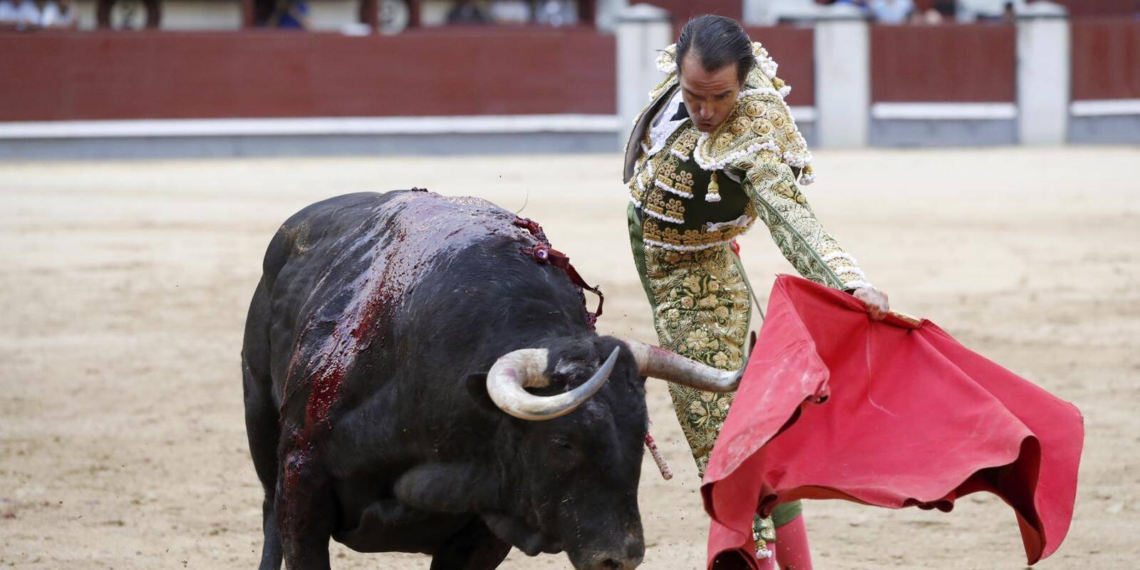 La Comunidad fijará criterios objetivos para permitir o no espectáculos