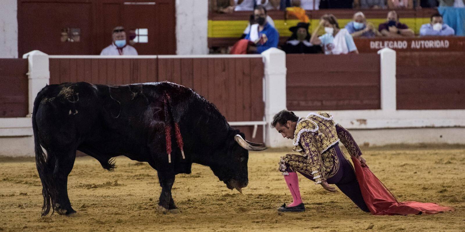 Díaz Ayuso anuncia ayudas para el toro de lidia