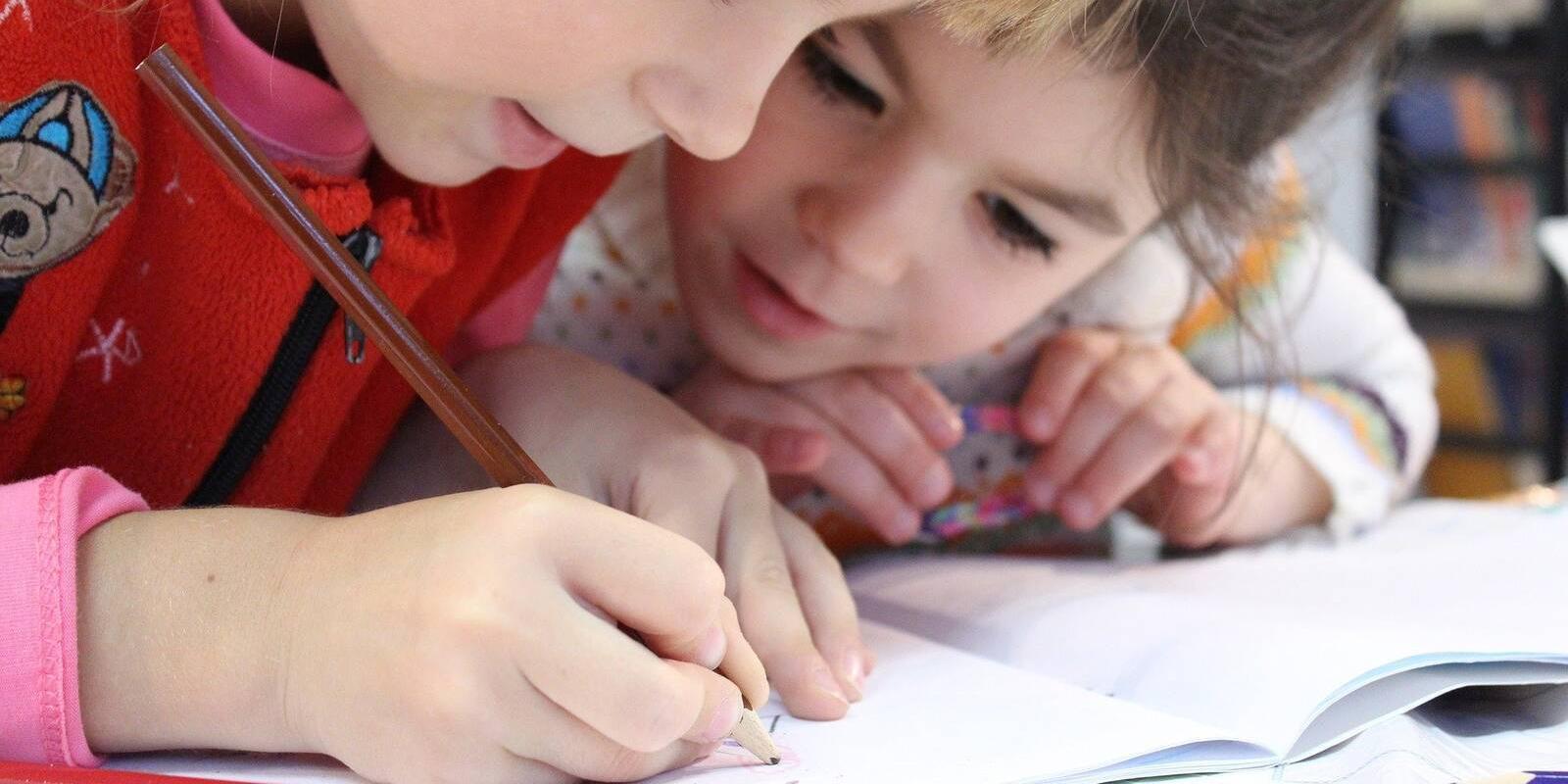 ¿Qué función cumple el psicopedagogo en la escuela?