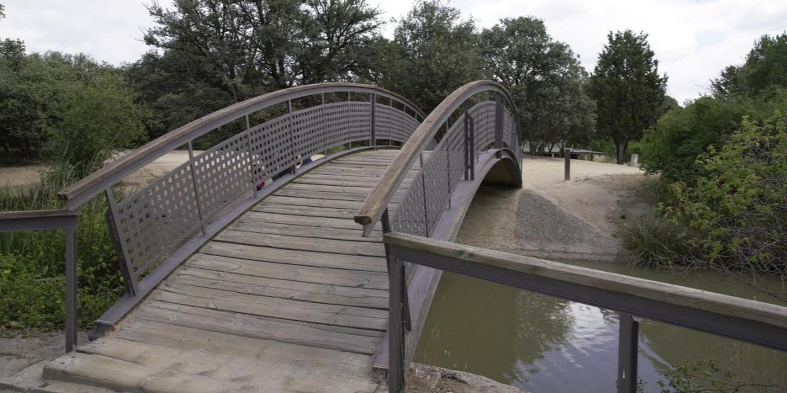 Las Rozas busca soluciones innovadoras para siete retos medioambientales