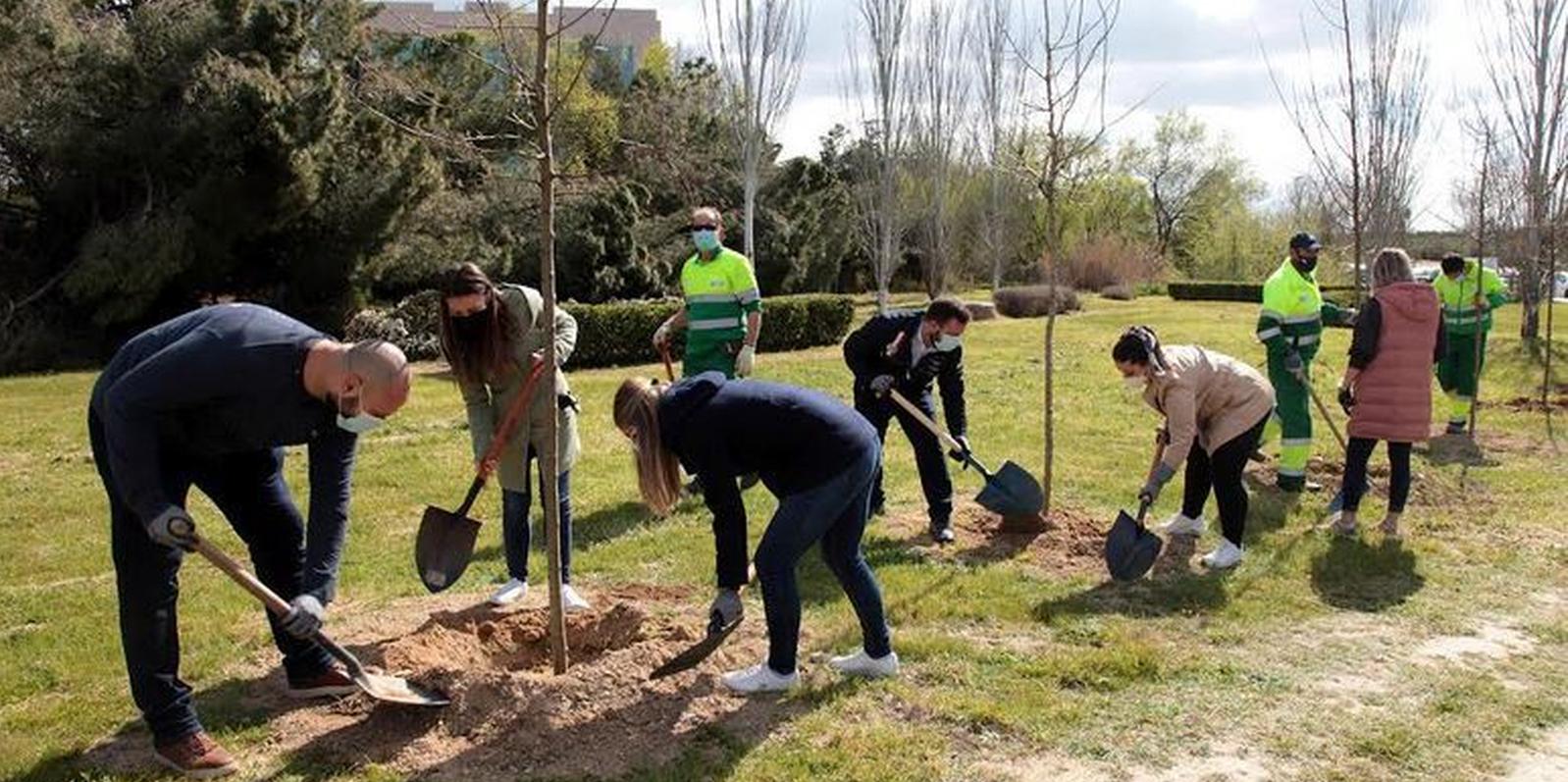 Parcesa dona 50 árboles al Ayuntamiento de Alcobendas para reforestar una zona situada en el Arroyo de la Vega-El Juncal
