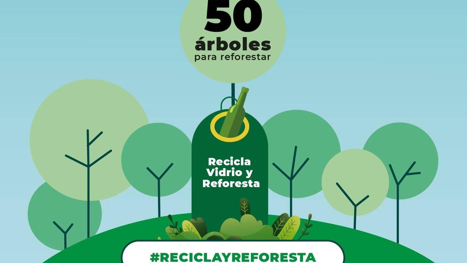 Galapagar ganador de la campaña de Ecovidrio “Recicla y Reforesta” por su compromiso con el reciclaje