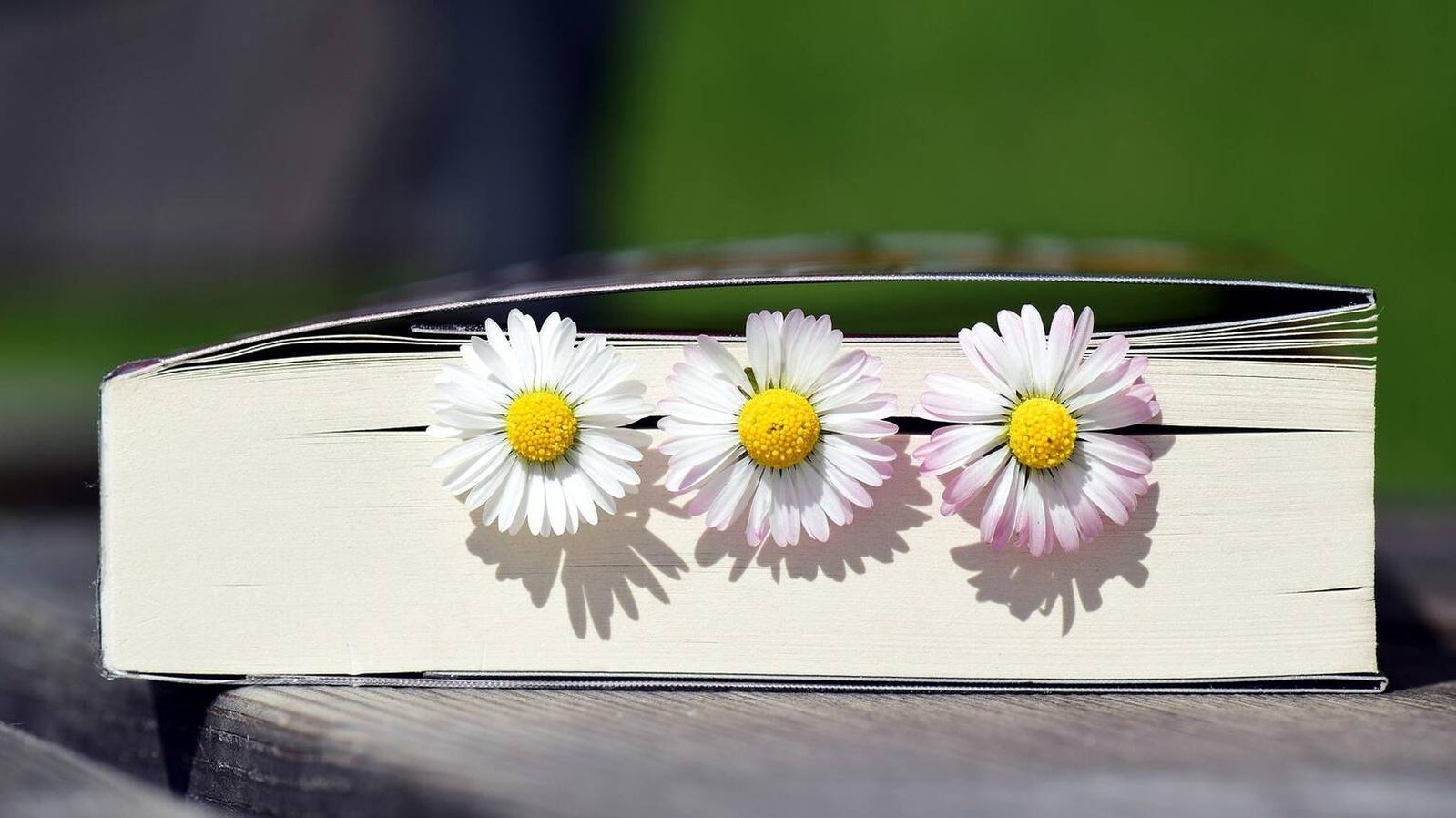 Parcesa regaló hasta 1.000 ejemplares con motivo del Día del Libro