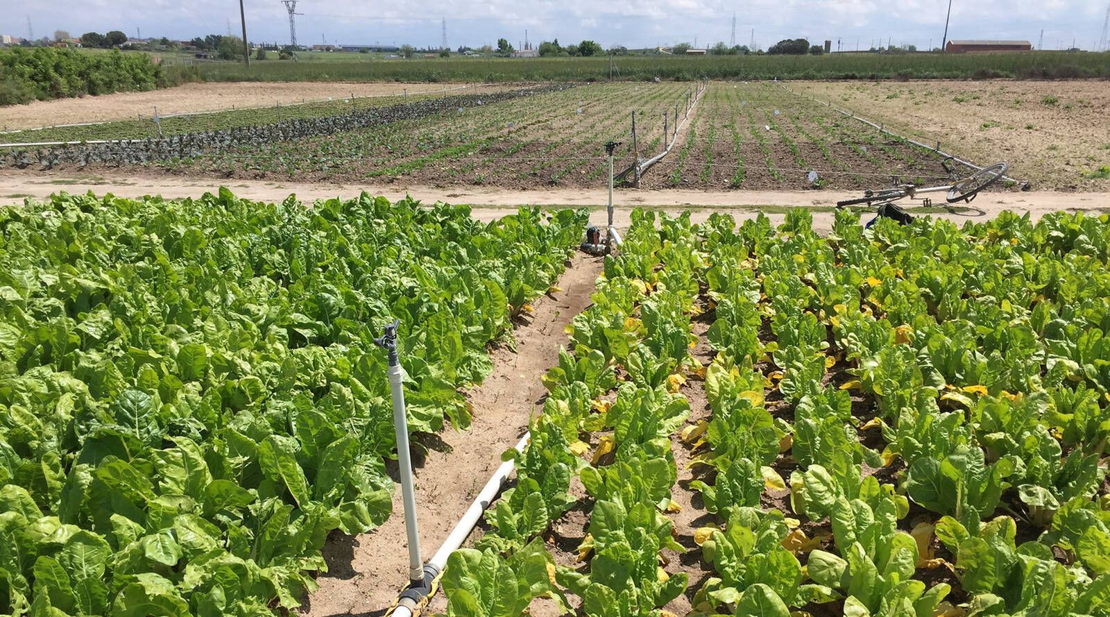 'Madrid Rural' será una realidad el próximo año en Fuenlabrada con una superficie de 3.500 metros cuadrados